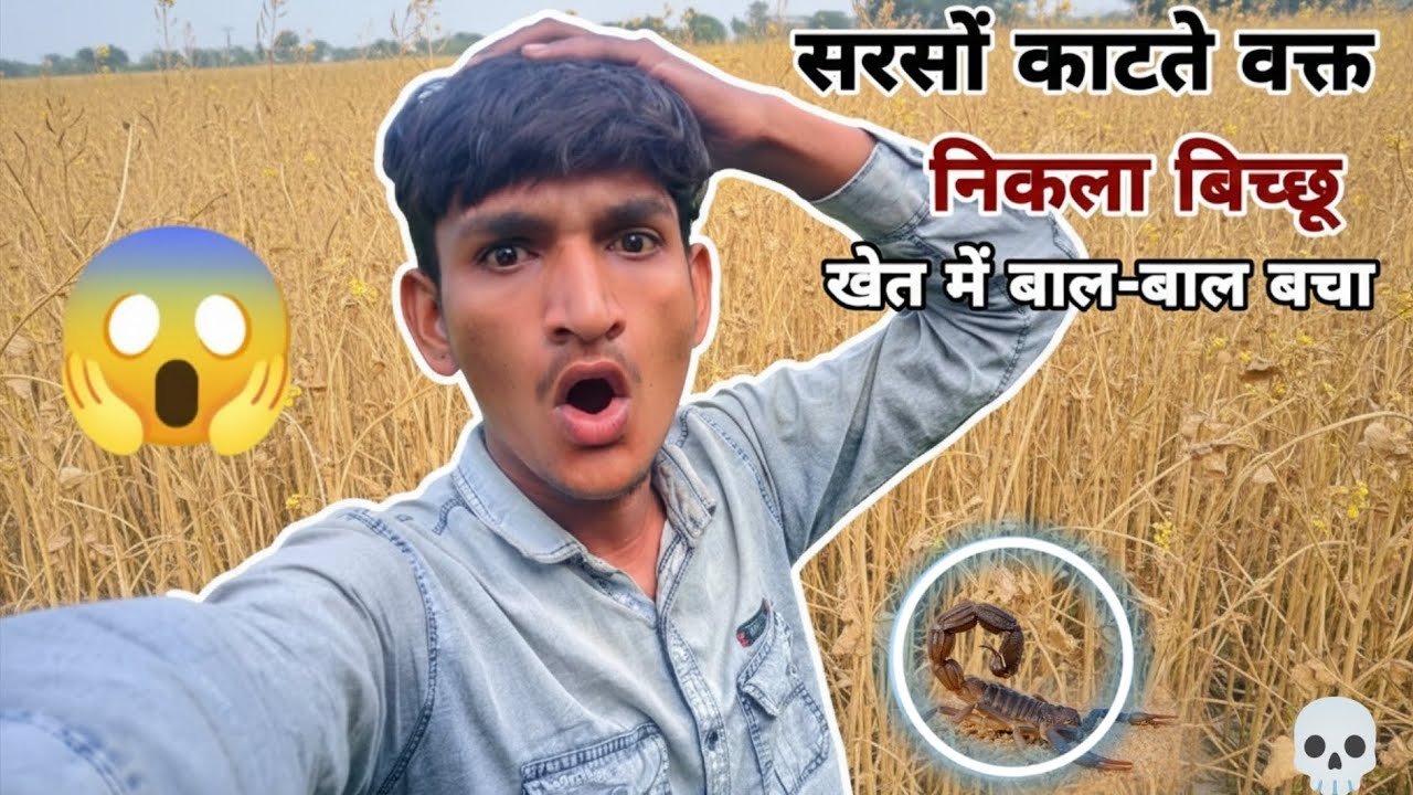 सरसों काटते वक्तनिकला बिच्छू 😱