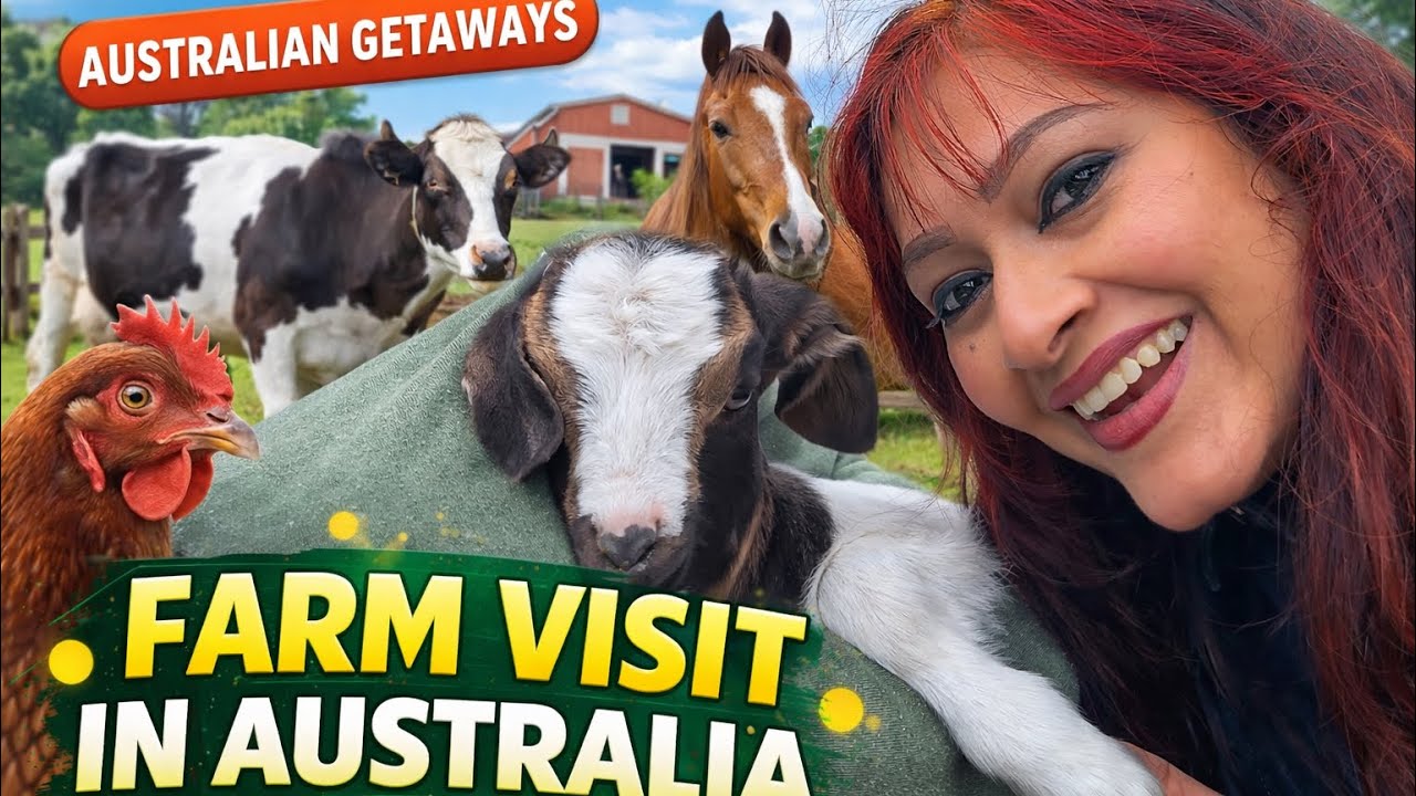 ഇങ്ങനെയും അവധിക്കാലം ചിലവഴിക്കാം  |Australian Farm stay Part 3