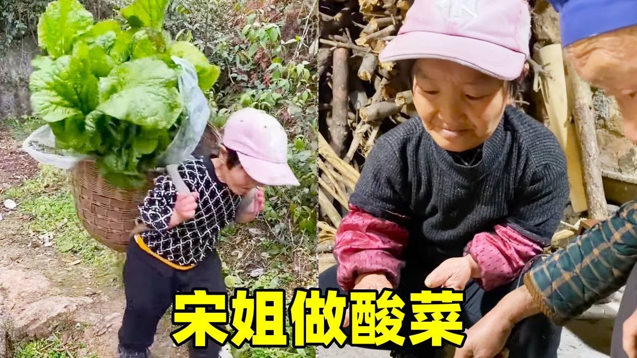 又到了做酸菜的季节，宋姐大早上就去摘菜叶，回家和好友一起做酸菜【农家宋姐】