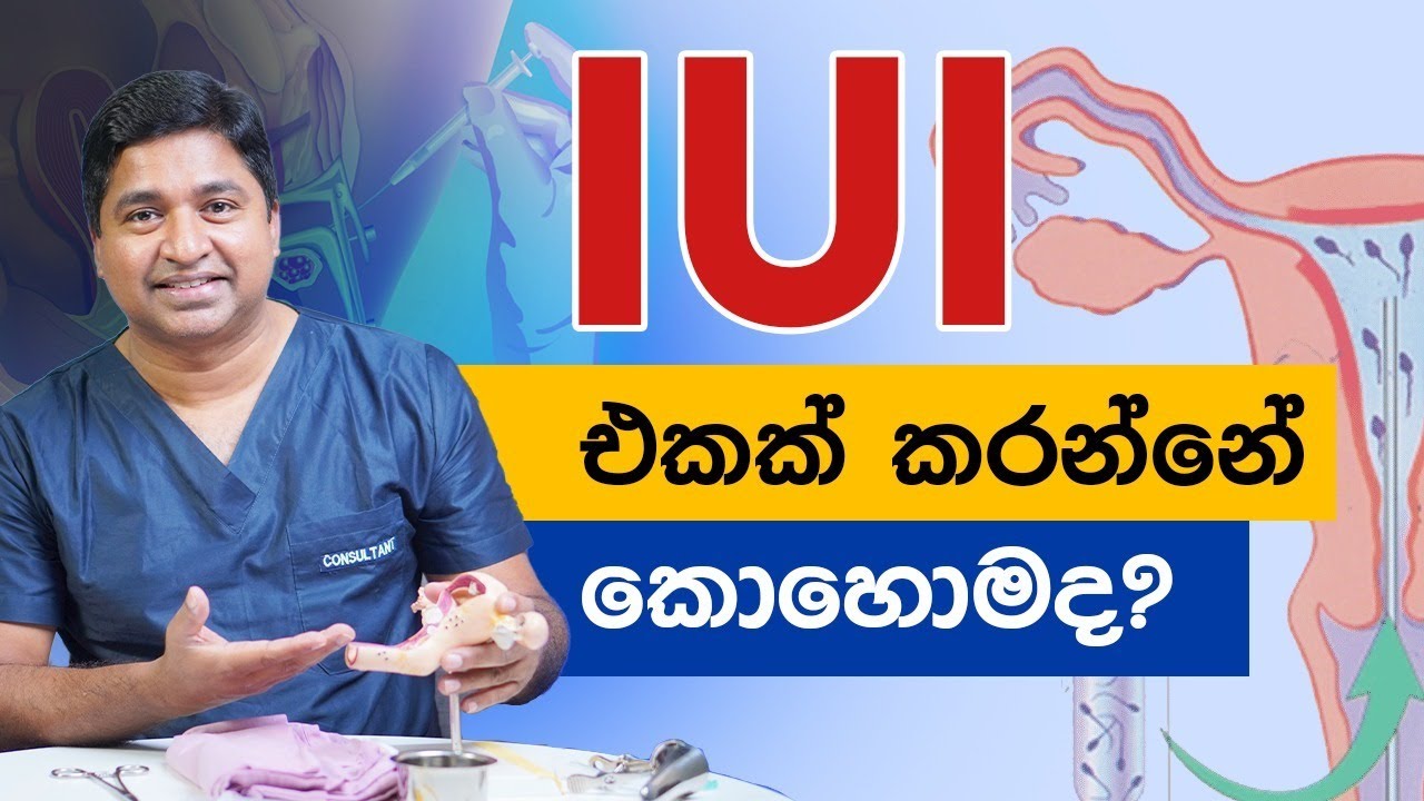 IUI එකක් කරන්නේ කොහොමද? #Infertility #IUI #IVF