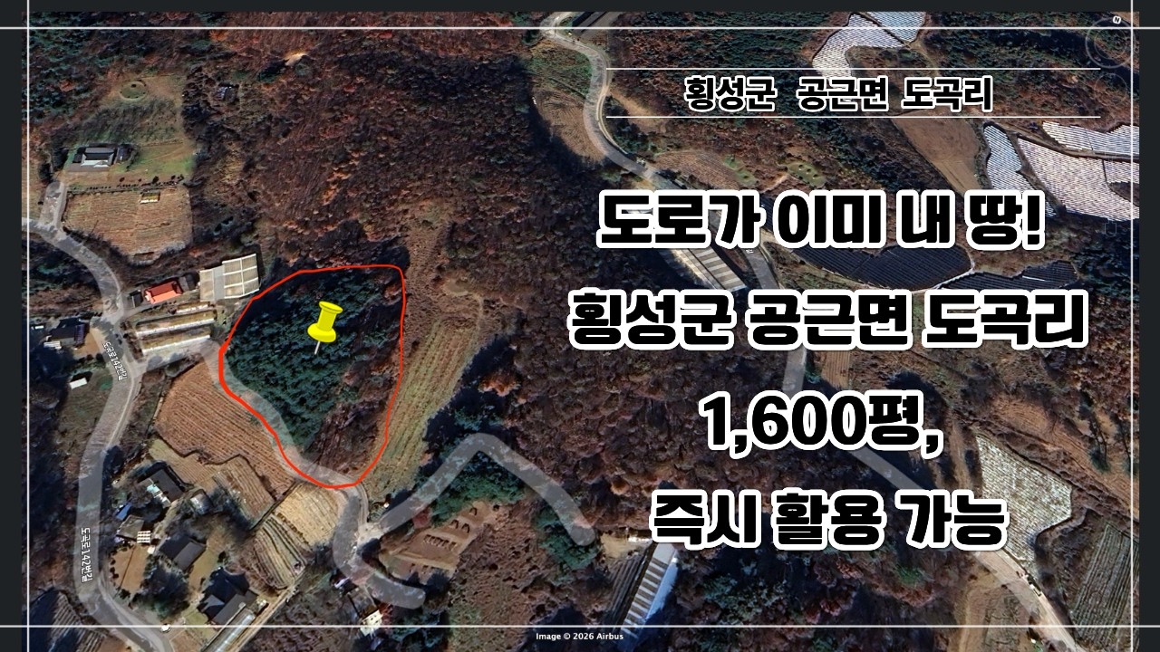 횡성 1,600평이 이 가격? 도로 접한 알짜배기 임야, 투자 가치 200%!