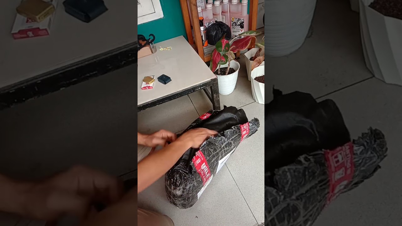 Jaket RABBIT AND WHEELS Limited Legendary Carbon 2024   Unboxing...