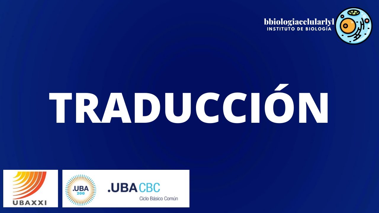 Clase 36. Traducci&oacute;n.