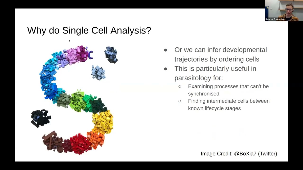Single Cell Data in VEuPathDB
