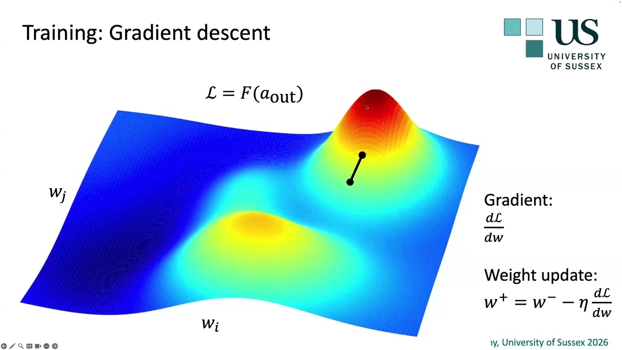 Thomas Nowotny: Decarbonising AI with Event-Based Neural Networks