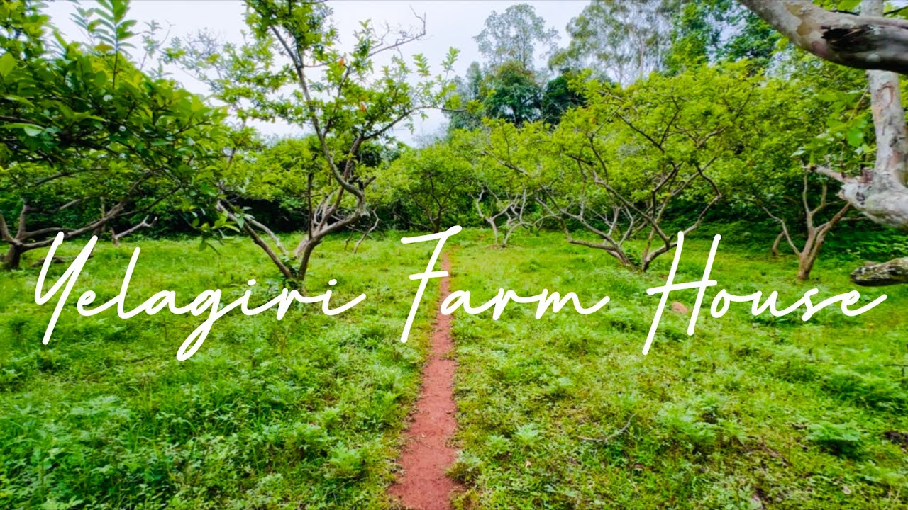 Yelagiri Nature Park | Yelagiri Farm House Suthi Paaklam Vaanga | Jack And Rose