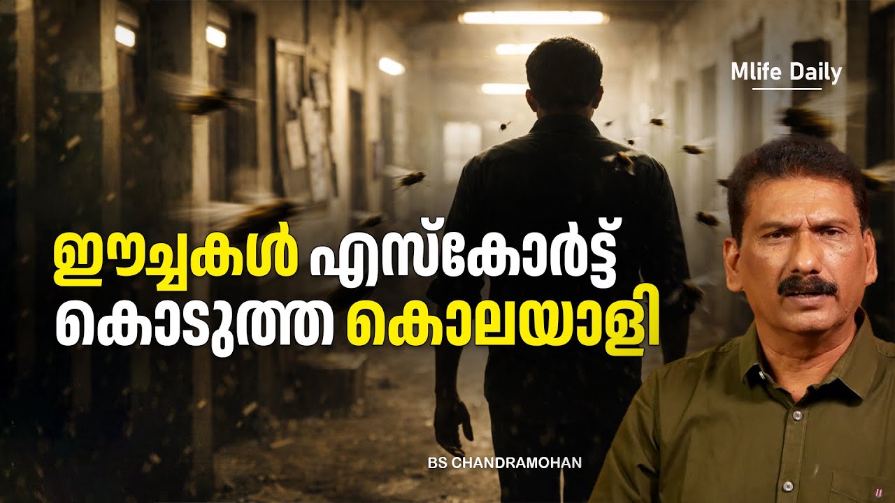 മനുഷ്യന് കാണാൻ കഴിയാത്തത് ഈച്ച കണ്ടാൽ ?|ബി എസ് ചന്ദ്ര മോഹൻ |Mlife Daily