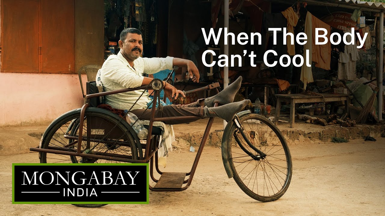 Battling heat and disability: When The Body Can’t Cool | Mongabay-India x ALT EFF