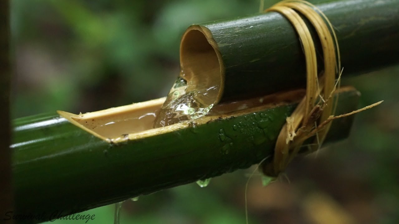 Primitive technology - Survival Challenge - Taking Water From Stream To Bamboo Device