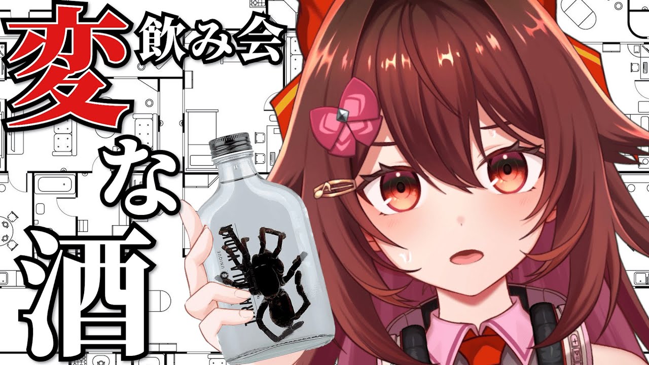 毒虫入の危険？なお酒「タランチュラ入りウォッカ」を飲みます！！【飲み会🍺】