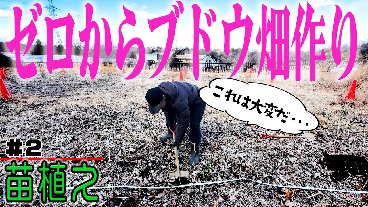 【苗植え編】ワインのぶどう畑作りと資格の勉強に大忙しのMATSU