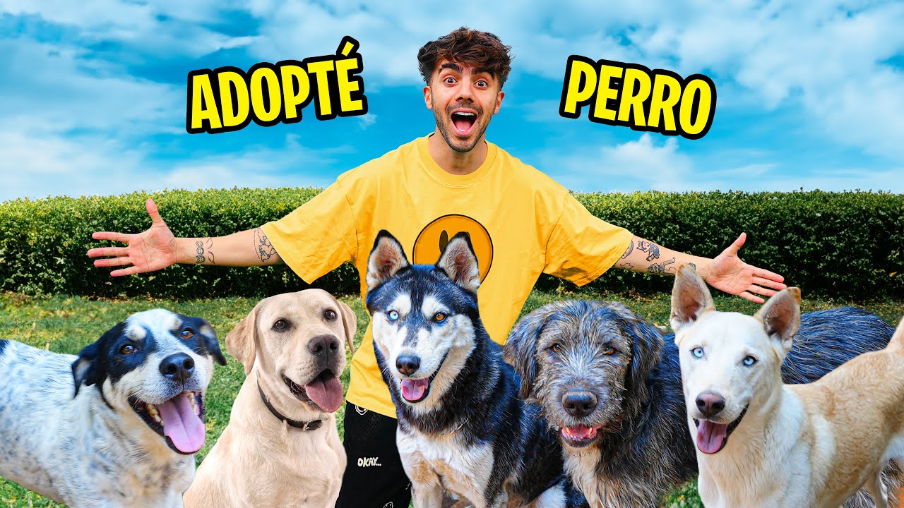 ADOPTE UN PERRO POR 24 HORAS!