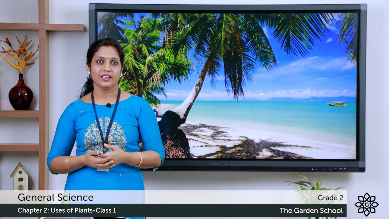 Grade 2 General Science Chapter 2 Class 1 Plants as Food and Uses of Plants
