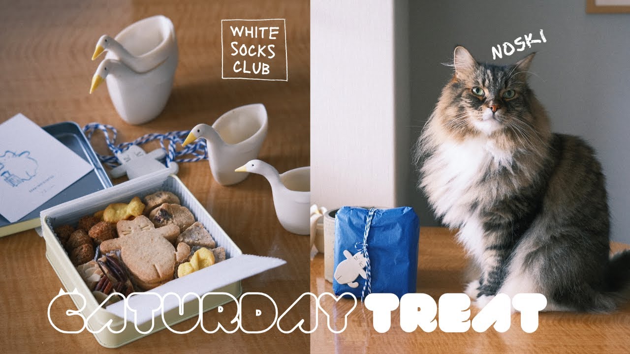 CATURDAY TREAT / 猫クッキー缶 / コーヒータイム