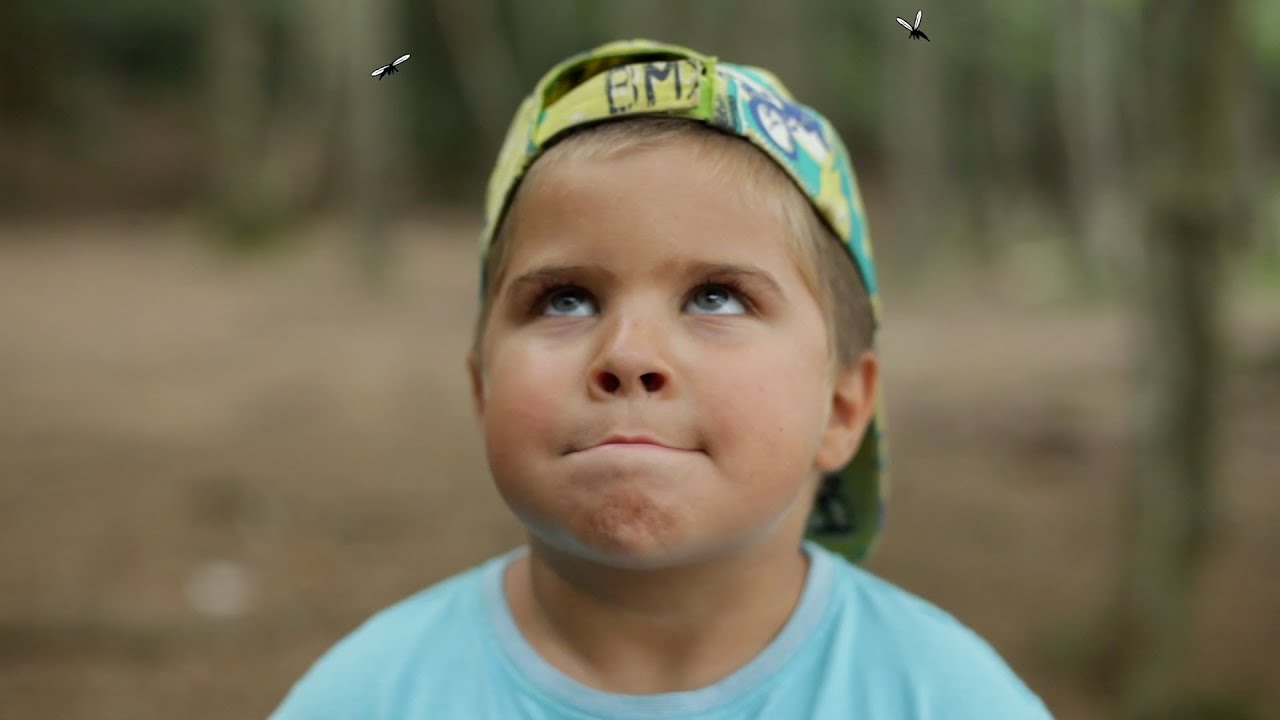 Dàmaris Gelabert - ELS MOSQUITS (Videoclip Oficial) #cançonsinfantils #família #cançonsperaprendre