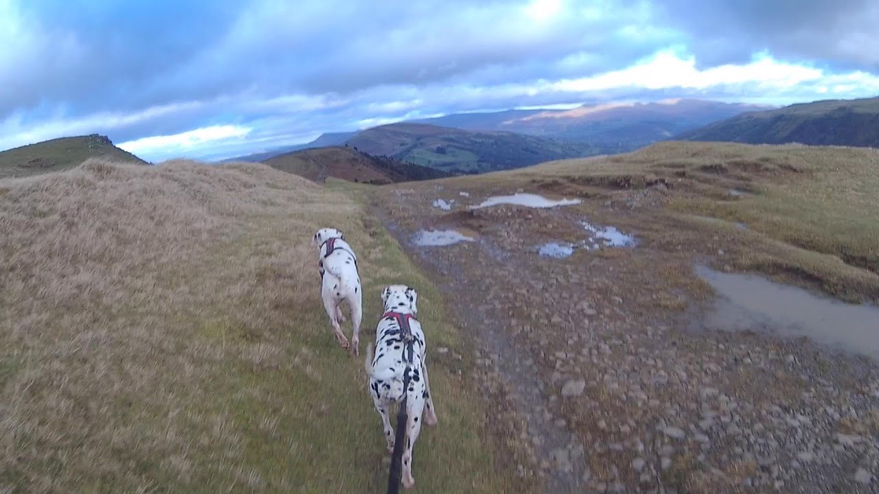 CANICROSS THE BRECON BEACONS - SUGARLOAF LOOP (VIDEO 01)