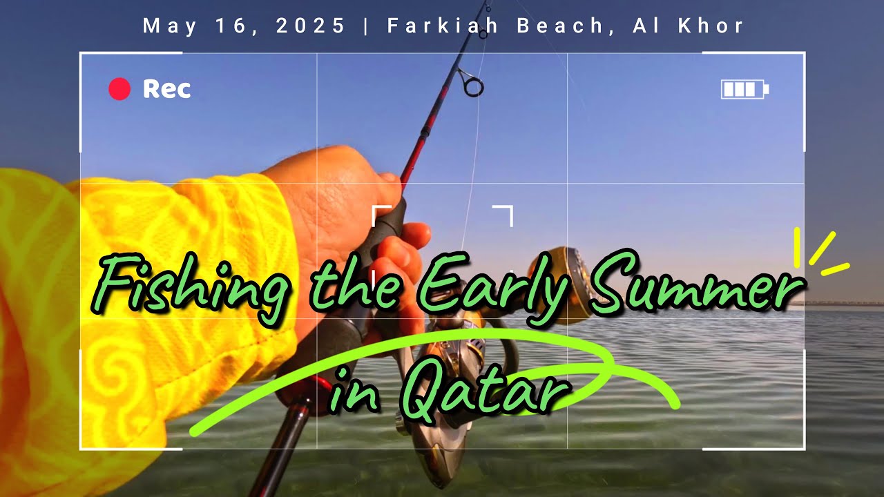 Beach Fishing during the early Summer in Qatar - Fishing in Qatar