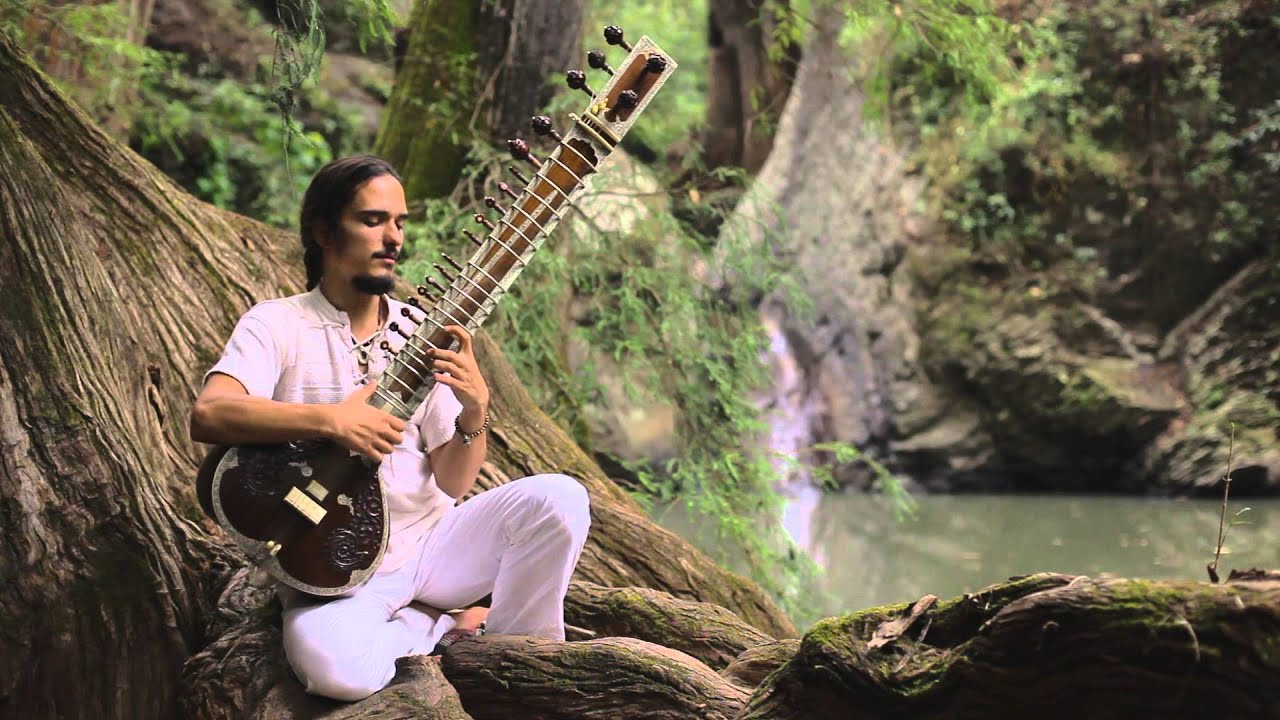 Bole Musica - Pajaro