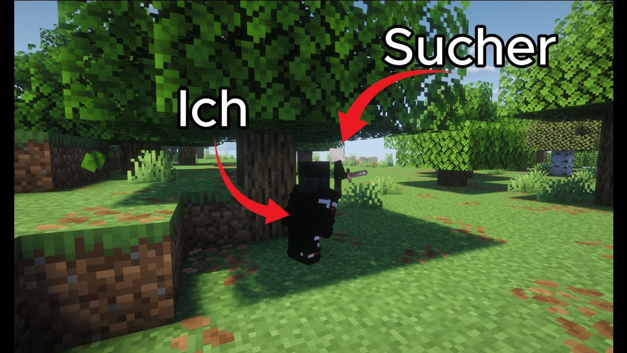 Ich habe Hide and Seek in Minecraft gespielt😱