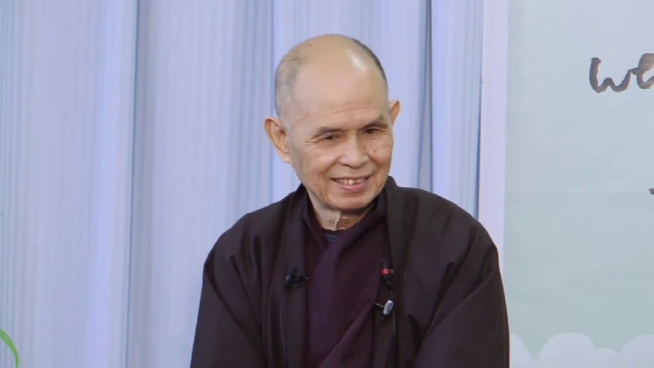 (8) Зорро Дзен: Два уровня истины | Тит Нат Хан, 17 июня 2014 г. (Плам Виллидж, Франция)