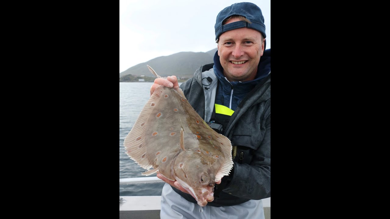 Day 2 Big Fish Adventure Sørøya 2022 Fishing in the fjord, Halibut, plaice++ Fjordfiskegutta Ep33