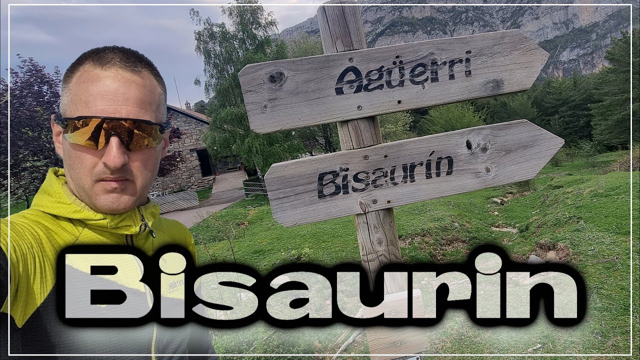 Bisaurin