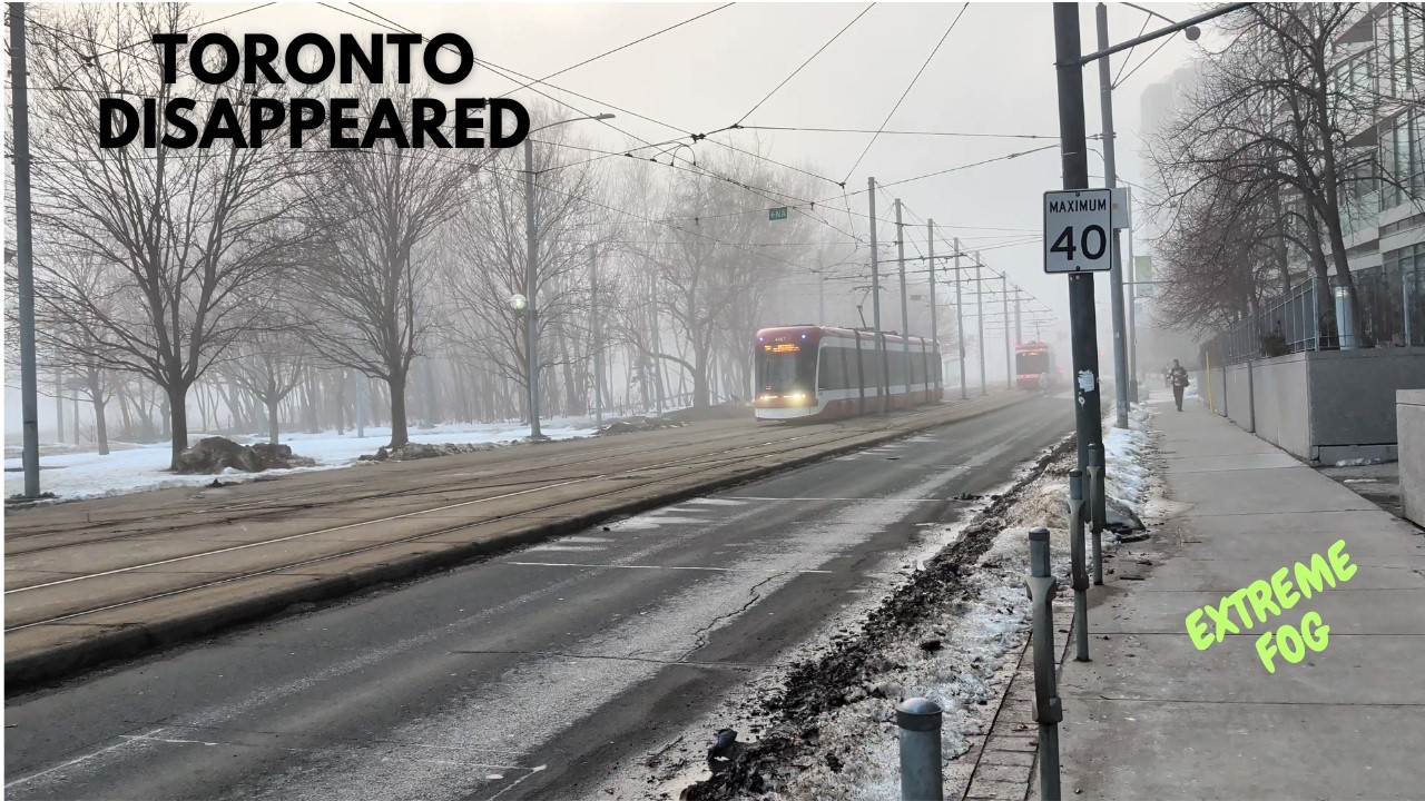 Toronto Disappears in Heavy Fog — You Won’t Believe This View