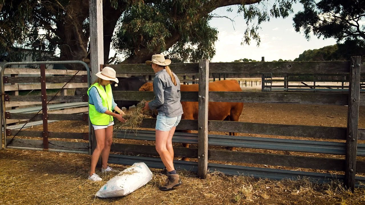 Destination WA - Esperance Farm Experience