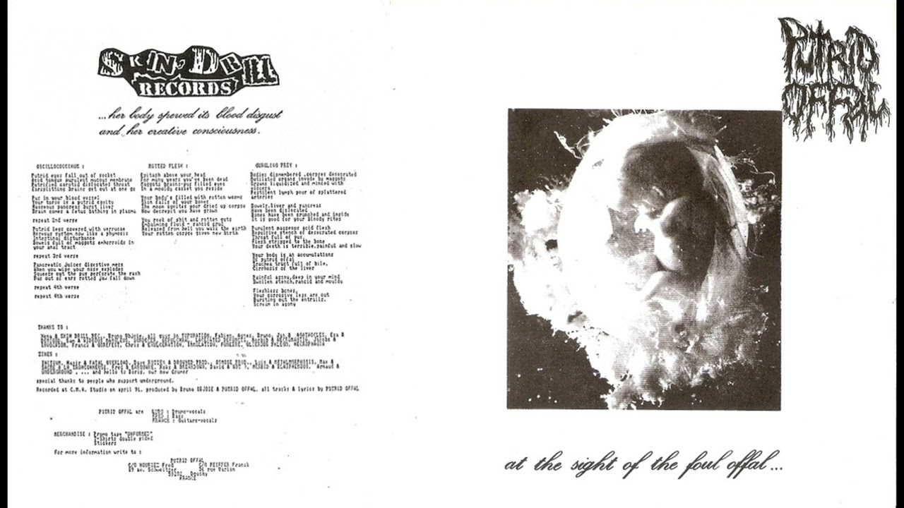 Putrid Offal / Agathocles - At The Sight Of The Foul Offal... / Agathocles split 7