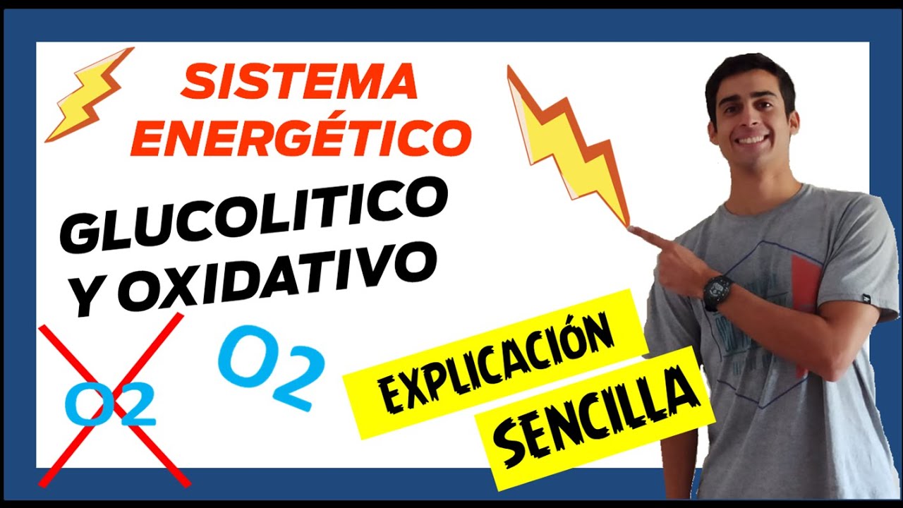 ⚡ SISTEMA GLUCOLITICO Y OXIDATIVO ⚡ (Fácil) SISTEMA ENERGÉTICO [2da Parte]