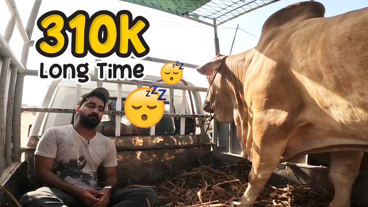 Living 10 Hours in Mandi | 310k main Finally soda Bangya | Hasham Rais Vlogs