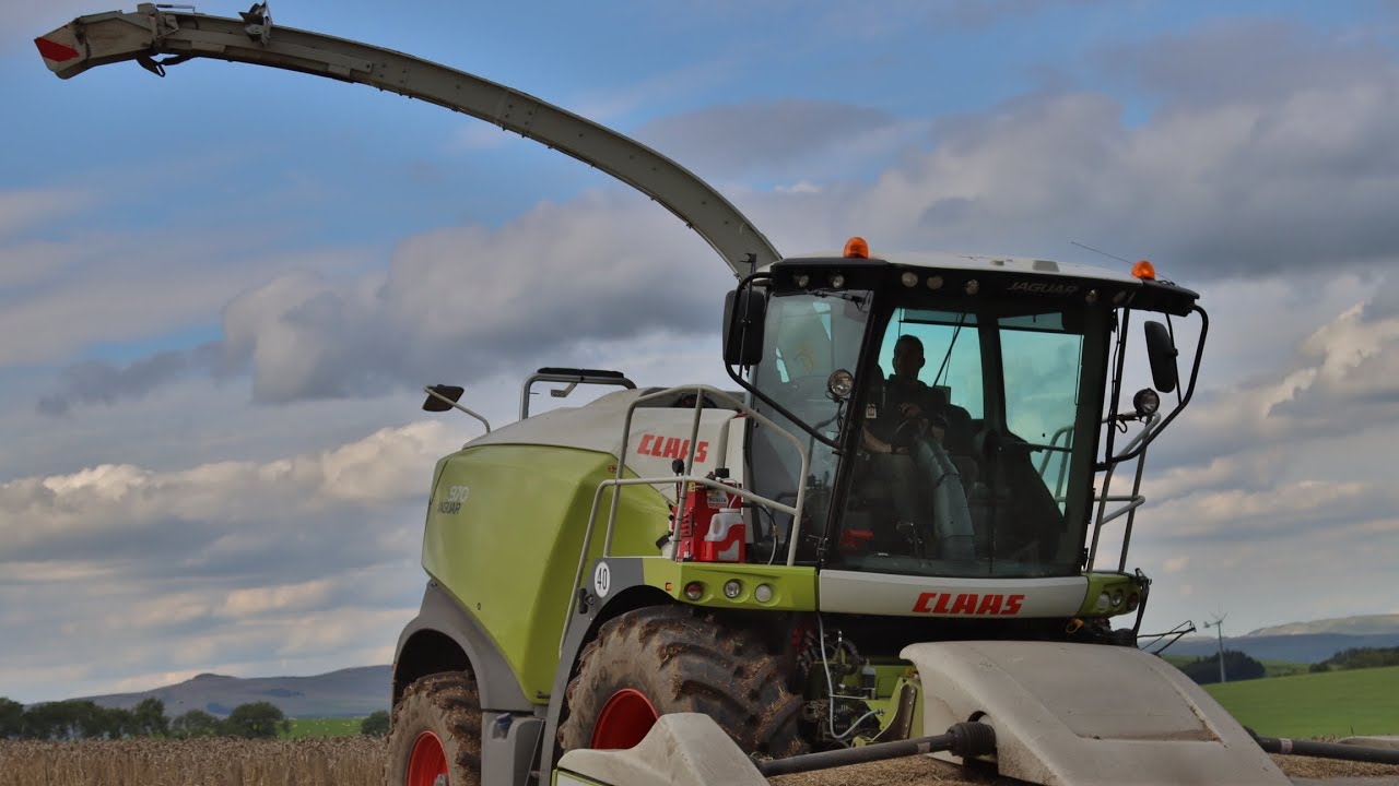 Wholecrop 2023 ~ W Stapleton & Son