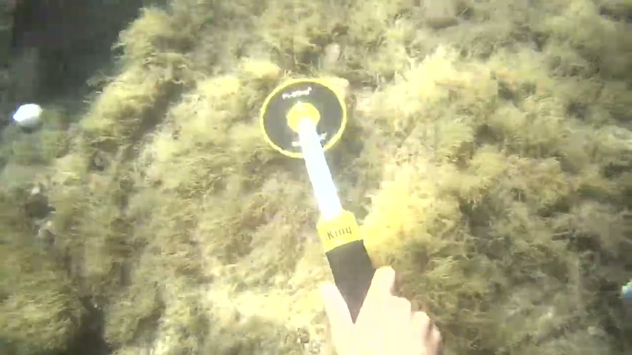 Searching for Gold at Sea
