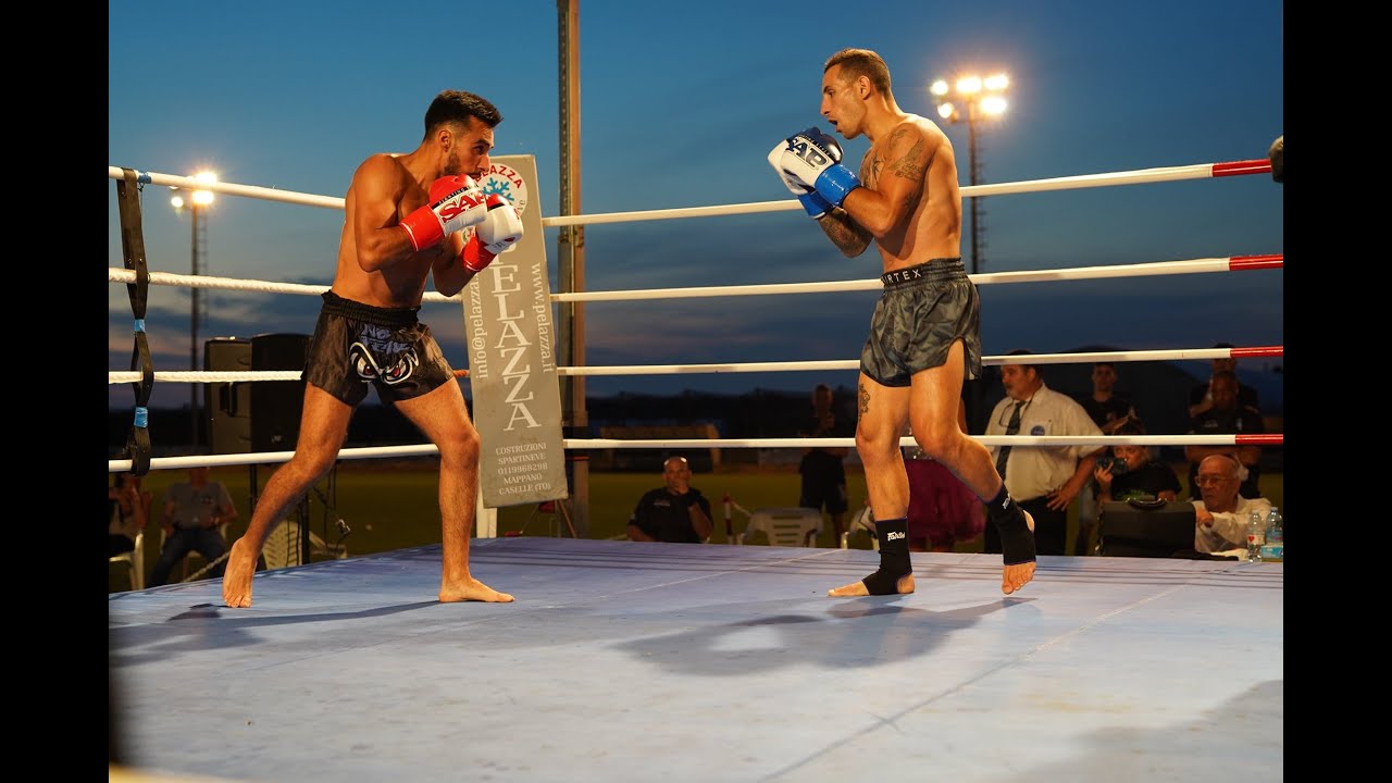 Shogun Fight Night