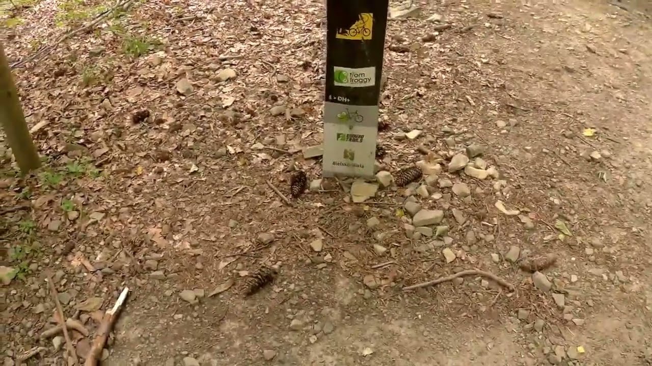 Daglezjowy, Enduro Trails, Bielsko-Biała