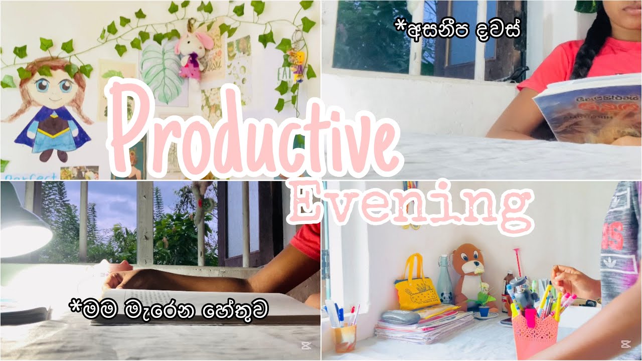 Productive evening ❤️🍃🍄|අසනීප දවසක් උනත් මෙහෙම වැඩ කරල බලන්න ✨🍁|#sinhalavlogs #productive #dayvlog