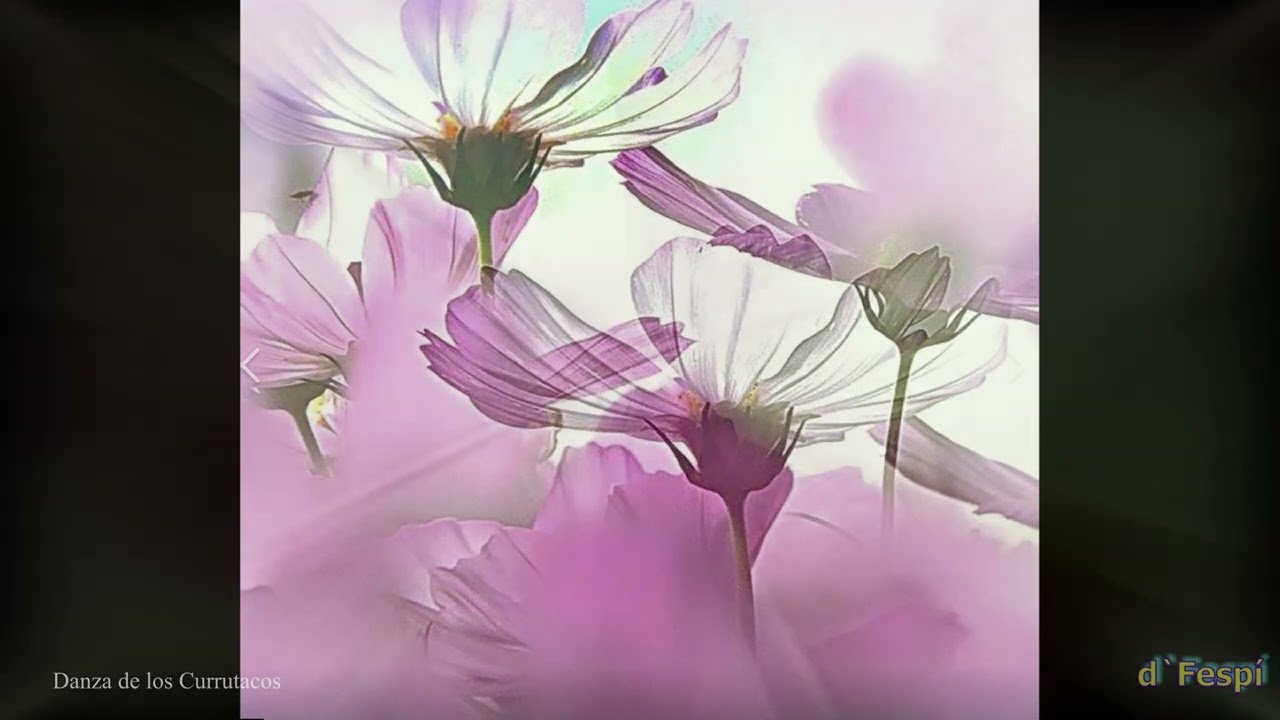 -Pinturas Amapolas Impresionismo abstracto -