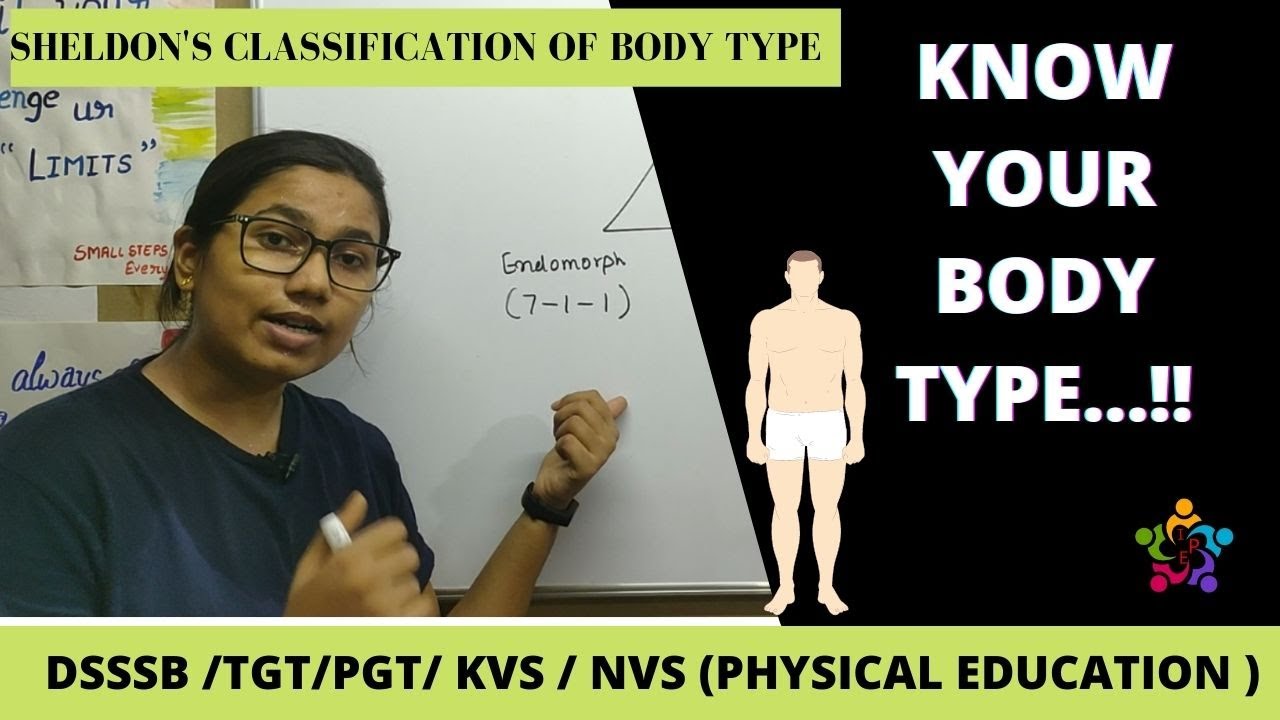 CLASSIFICATION OF BODY TYPES BY SHELDON || CLASS 12 || B.P.ED || M.P.ED || PHYSICAL EDUCATION