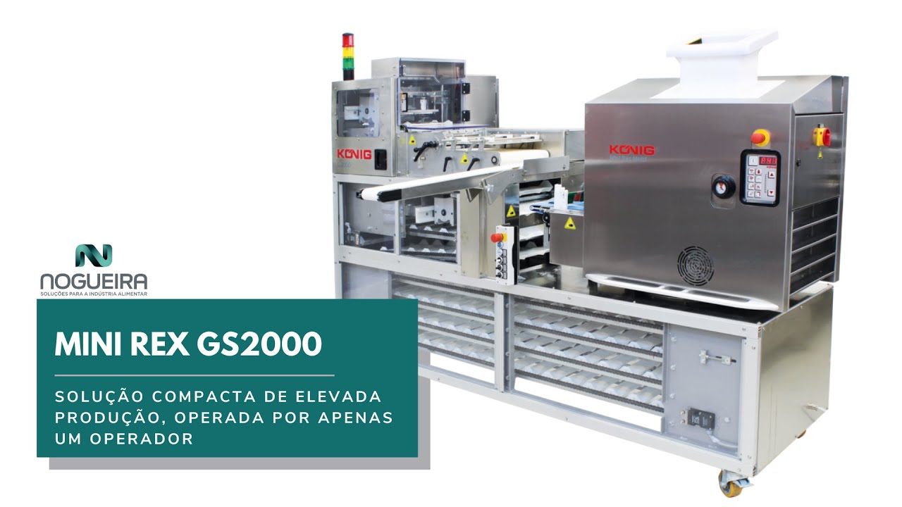Nogueira Soluções | Equipamentos | Mini Rex Multi GS 2000