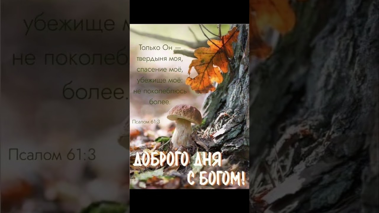 ДОБРОГО ДНЯ С БОГОМ !!! - 29.10.2025