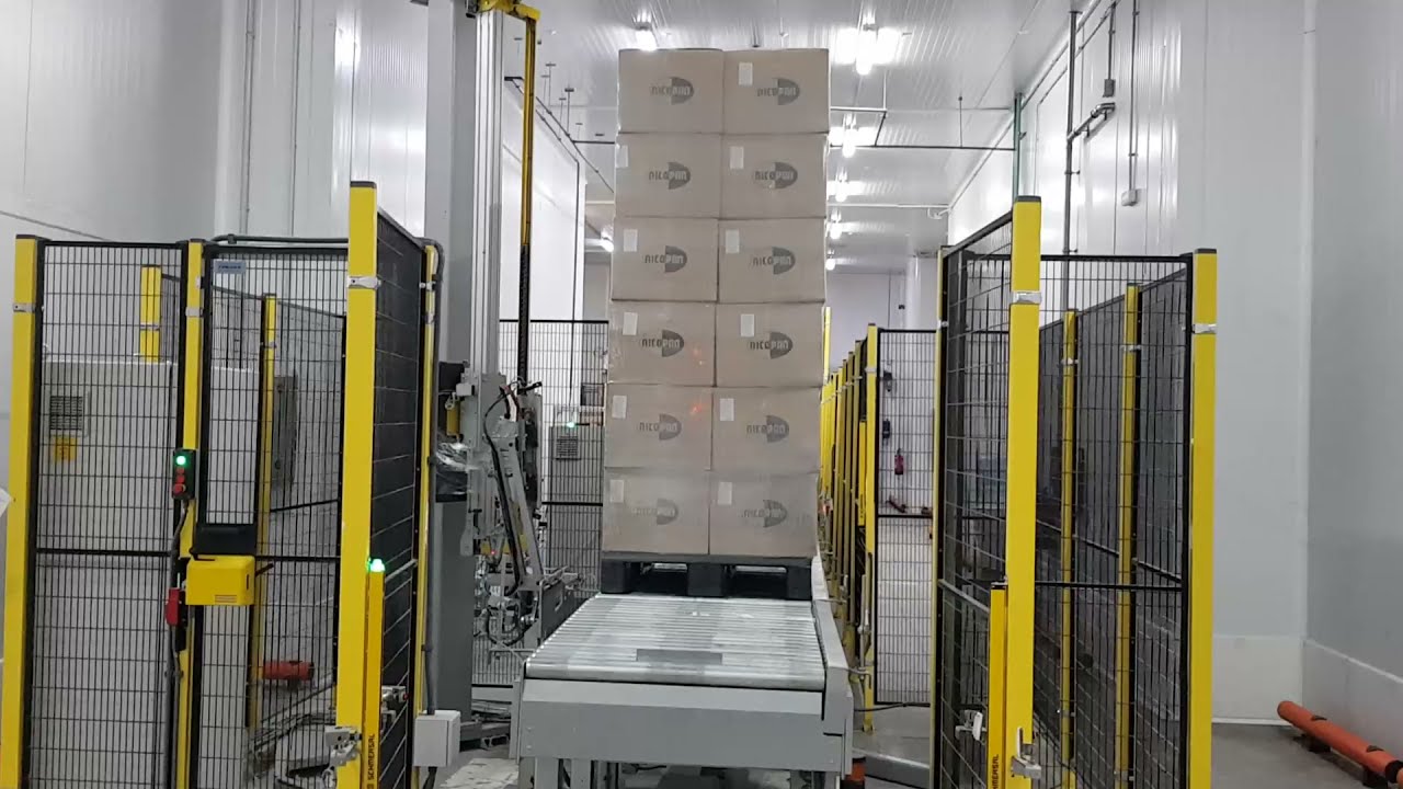 Línea de Paletizado y Transporte De Cajas