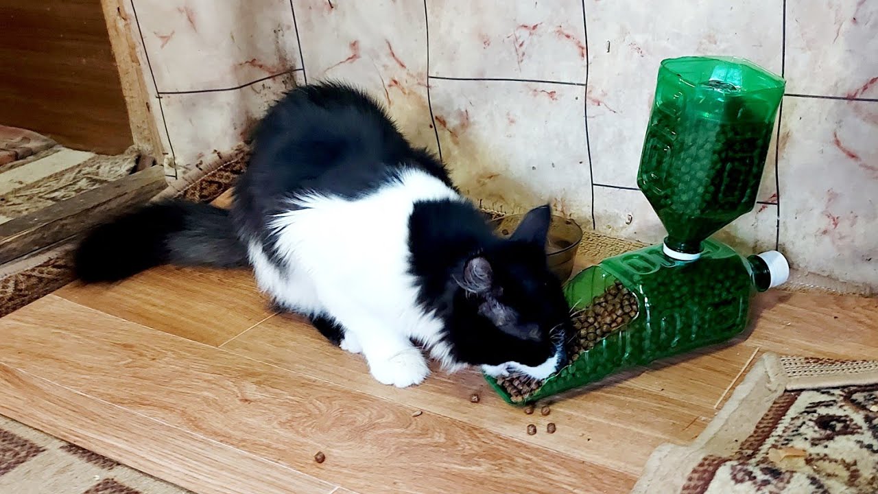 Мои коты от неё безумно счастливы Крутая самоделка Автокормушка для кошек