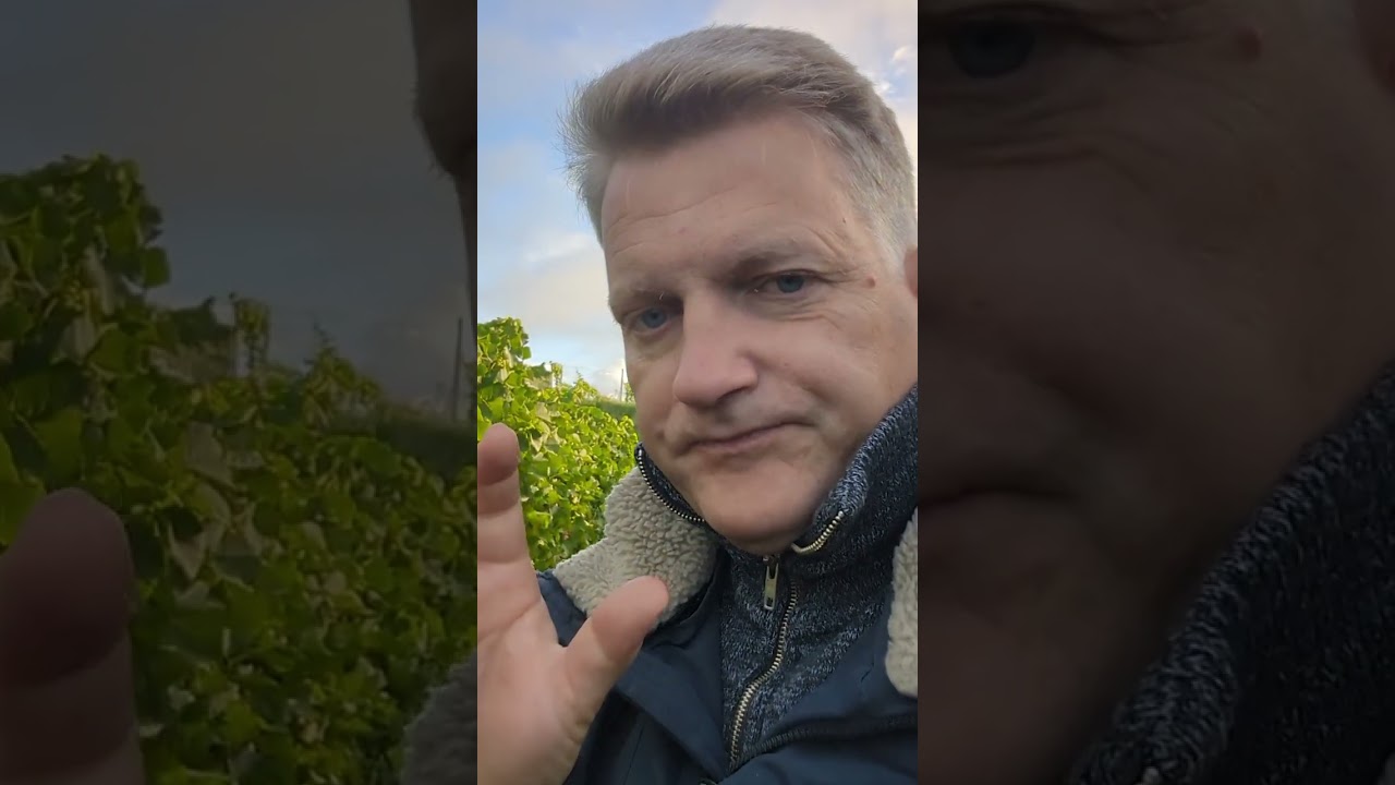 Welchen Einfluss hat der Regen auf die Qualität?