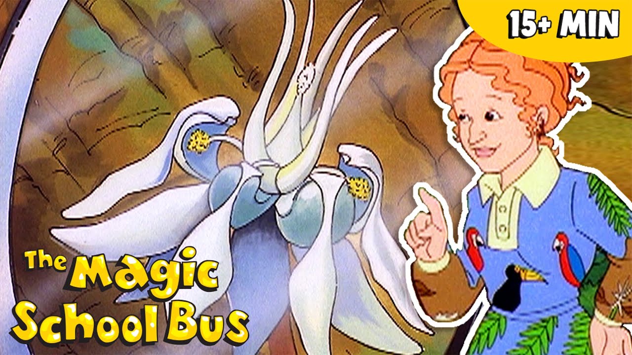 How Do Plants Grow? | Science for Kids | The Magic School Bus