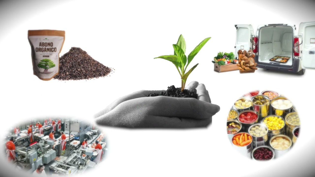 ACTIVIDADES AGROPECUARIAS