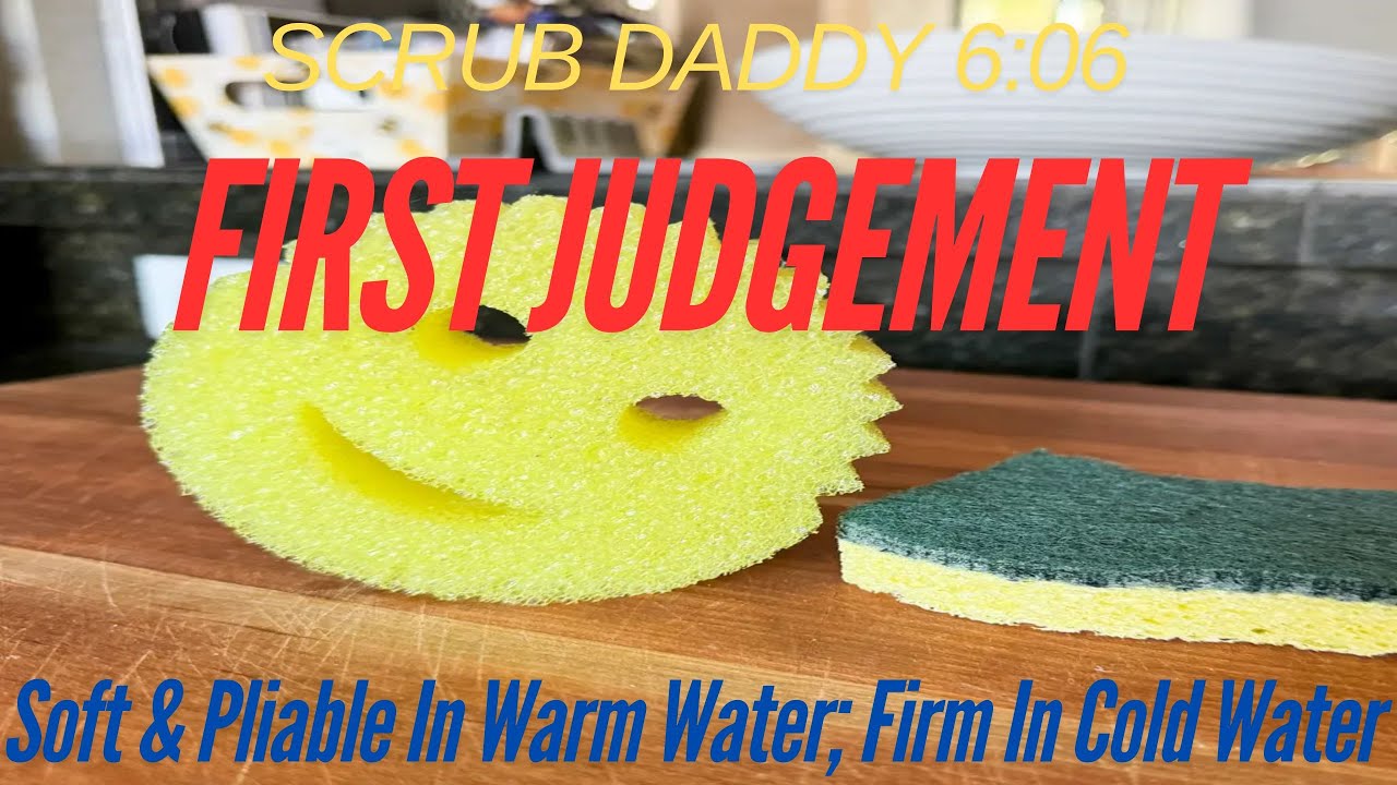 SCRUB DADDY 6:06 | FIRST JUDGEMENT