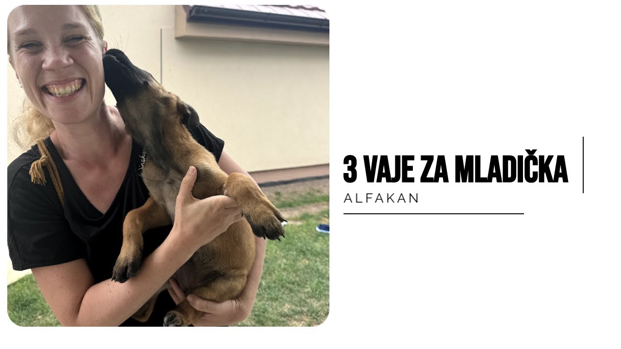 Kako zaposliti mladička? |  alfakan | Bali