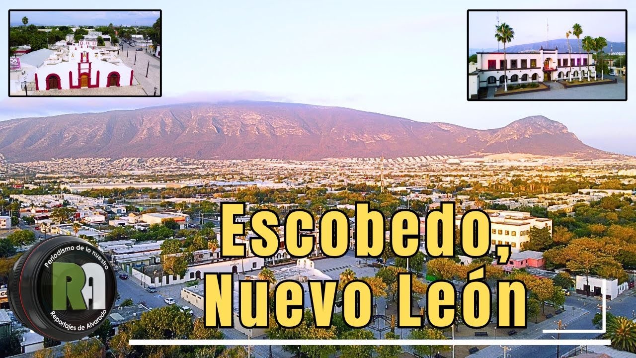Escobedo, Nuevo León - Reportajes de Alvarado  Martes 4 de Febrero 2025 - Televisa Monterrey