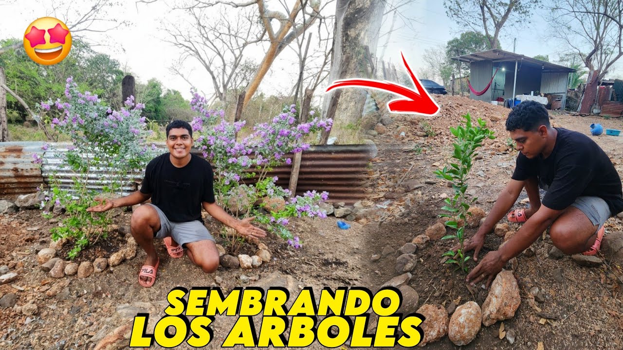 SEMBRANDO LOS ARBOLES FRUTALES EN NUESTRA CASITA DE CAMPO 🏡 ASÍQUEDARON 🤩
