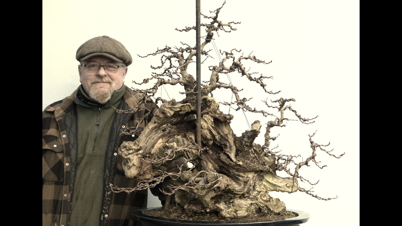 Graham Potter Styles a Yamadori Field Maple
